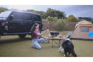 Petaboo: Unlocking the “Hot-selling” Aesthetics of Overseas Pet Brands