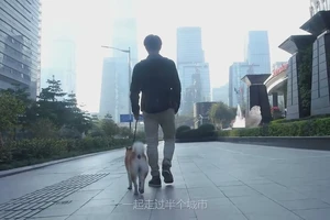 DTC品牌故事短片内容资产怎么规划？让一次拍摄服务信任、投放与复购