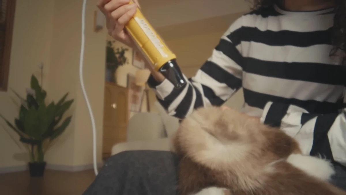 Petaboo 宠物吹水机在护理过程中的真实操作关键帧