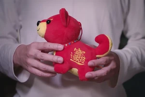 深圳广告片创意提案怎么做？用真实案例把卖点、分镜与交付判断讲清
