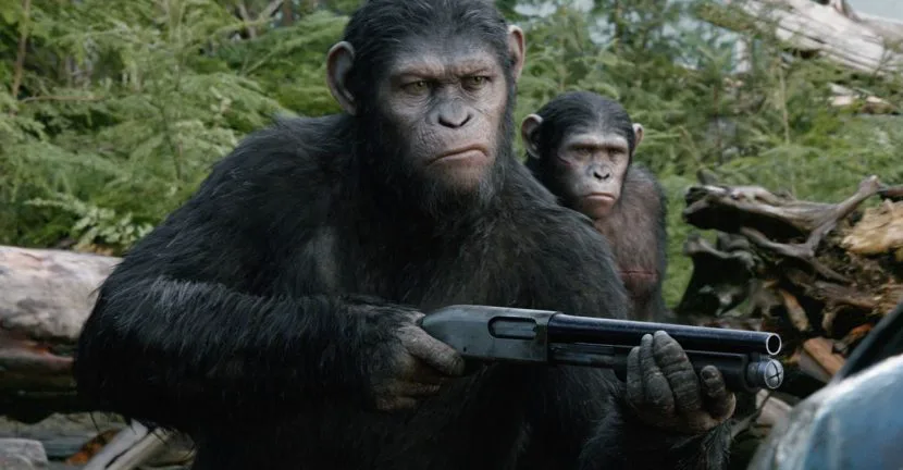 How Reels Ads Use Cover Cropping to Keep Subjects Intact