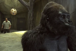 How to Unify Lighting Direction and Shadows in AI-Composited Product Videos